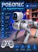 Робопес на радиоуправлении "Robot Dog", озвучивание на английском, подсветка, управление голосом/пультом, танцует, ложится, плавает, программирование действий, песни Серый (i7-198390) - изображение 1