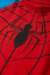 Костюм Spiderman (шорты, футболка) C&A 2232248c70 140см комбинированный (100016440) - изображение 2