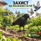 Відлякувач птахів "Ворон" Bradas для грядок та газону CTRL-BR101 - зображення 2
