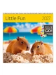 Календарь настенный 2027 HELMA 30 x 30 см Little Fun (LP04-27) 8596641041707 - изображение 1