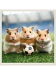Календарь настенный 2027 HELMA 30 x 30 см Little Fun (LP04-27) 8596641041707 - изображение 6