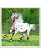 Календарь настенный 2027 HELMA 30 x 30 см Horses (LP03-27) 8596641041738 - изображение 5