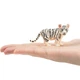 Біле тигреня Toymany ML001282 - изображение 4