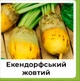 Семена свеклы кормовой GSN Semences Эккендорфская желтая 100 г - изображение 4