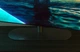 Телевизор Philips 55OLED820/12 OLED 4K 144 Гц 55" Черный Ambilight - изображение 3