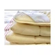 Одеяло Billerbeck Olimpiya 155kh215 (0108-00/05) Billerbeck 0108-00/05 1092239 - изображение 2