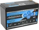 Akumulator PATONA Platinum LiFePO4 12V 6Ah T16 Strong life 10 year (4055655227988) - obraz 1