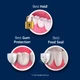 Крем-адгезив Fixodent Professional 51 г для фиксации зубных протезов Фиксодент Профешнл с надежной фиксацией, защитой десен и пищевым барьером - изображение 7