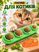 Кошачья мята для кошек 4в1, лакомство - шарики сладости для котов из мататаби для котов и леденец с витаминами - изображение 1