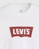 Мужская футболка свободного кроя в винтажном стиле Levi's, белый цвет, размер L (000RY0002) - изображение 6