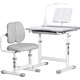 Комплект мебели Evo-kids (стол+стул+полка+лампа) BD-23 G - изображение 1