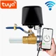 Кран автоматичний Wi-Fi Tuya - изображение 6