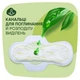 Гігієнічні прокладки Naturella Classic Normal з крильцями ароматизовані 10 шт. (4015400317876) - зображення 2