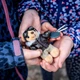 Брелок Sturm Mil-Tec Teddy Pilot Key Ring Multi (15906000) - изображение 13