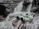Підзорна труба Kowa 20-40x50 TSN-502 (11429) - зображення 9