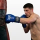 Тренувальні боксерські рукавички Everlast 8 унцій (8 oz) сині - зображення 2