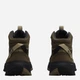 Женские демисезонные ботинки низкие для треккинга с мембраной Jack Wolfskin Wild Hike Texapore Mid W A65580_5530 38 (5UK/7USA) 24.3 см Коричневые (4064886769952) - изображение 5