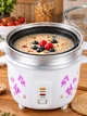 Многофункциональная электрическая рисоварка-пароварка объемом 5 л, мощностью 900 Вт, с автоматическим поддержанием температуры и световыми индикаторами для приготовления риса, каш и блюд на пару; механическое управление; стеклянная крышка - изображение 4