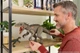 Динозавр Индоминус Рекс Мир Юрского периода Jurassic world Indominus Rex Hammond Collection Dinosaur JKG98 Mattel - изображение 7