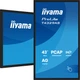 Monitor interaktywny iiyama ProLite T4329AS-B1AG 43″ 4K UHD, dotykowy, Android 14 - obraz 4