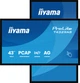 Monitor interaktywny iiyama ProLite T4329AS-B1AG 43″ 4K UHD, dotykowy, Android 14 - obraz 5