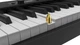 Цифрове піаніно (в комплекті з чохлом) Musicality RP88-BK _RealPiano - зображення 6