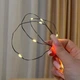 Светодиодная гирлянда Роса 50 метров USB теплый белый свет зеленый провод 500 LED 8 режимов с пультом - изображение 4