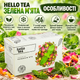 Чай травяной Hello Tea Зеленая мята пакетированный китайский Сенча освежающий с листьями цедрой апельсина лепестками розы в фильтр пакетах 20 шт по 2 г для чашки - изображение 2