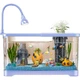 Аквариум KUOTING настольный экологичный аквариум, новый, для ленивых рыбок, с экологическим ландшафтным дизайном, фильтрацией и встроенным датчиком кислорода, синий. - изображение 2