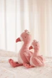 Pluszowa zabawka Little Dutch Safari Friends GRS Flaming 17 cm (8713291883536) - obraz 20