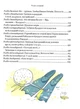 Книга Тореадори з Васюківки. Пригоди Робінзона Кукурузо. Всеволод Нестайко - изображение 5