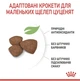 Сухий корм Royal Canin Mini Puppy для цуценят малих порід 8 кг - зображення 2