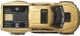 Kolekcjonerski samochodzik Hot Wheels Premium Car Culture 2017 Ford F-150 Raptor 1:64 Złoty (HKK39/JBK70) (194735262373) - obraz 4