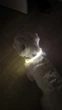 Яркий светодиодный LED ошейник для собак и кошек 70 см (можно укорачивать) с USB-заряд. Видимость до 500м в темноте. Цвет белыый. - изображение 5