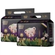 Подгузники Mingdian Teddy Camellia XXL (15.5-18.5 кг), 72 шт - изображение 1