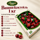 Цукерки Amanti Вишня Коктейль 1 кг молочний шоколад з вишневою начинкою фруктовим смаком десерт у картонній коробці - зображення 3
