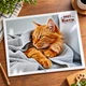 Перекидний настінний Календар 33х54 см 2027 Коти-06 - зображення 1