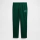 Спортивные штаны утепленные мужские GAP 876194523 L Зеленые (1162979248) - изображение 5