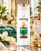 Шампунь для волос Pantene Pro-V Smooth & Silky Гладкие и шелковистые для непослушных волос, 400 мл (8700216821254) - изображение 4