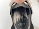 Кросівки Keen Women's Seek 37,5 EU 24 cм бежеві 00-00001662 - изображение 5