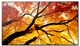 Monitor 32" Sharp MultiSync M322 (4550556176682) - obraz 1