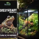 Мох Сфагнум Terrario ForestHeart Sphagnum Moss 100г для тераріумів та орхідей - зображення 3