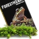 Мох Сфагнум Terrario ForestHeart Sphagnum Moss 100г для тераріумів та орхідей - зображення 10