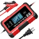 Импульсное интеллектуальное зарядное устройство для аккумулятора 12V 15A/24V 8A автоматическая зарядка для АКБ AGM, GEL, LiFePO4, Lithium, Moto с восстановлением 12В 24В VPC-15 - изображение 2