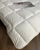 Одеяло Экопух полуторное 155x210 см 300г/м2 "Ода" - изображение 5