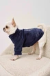 Светр Dogsbomba велюр Кураж індиго Y-401 розмір 8 (2000000104225) - изображение 1