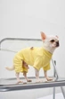 Костюм Dogsbomba перфорований жовтий D-191 розмір 3 (2000000064222) - изображение 1
