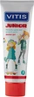 Pasta-żel dla dzieci Dentaid Vitis Junior 6+ 75 ml (8427426052765) - obraz 1