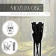 Krzesło turystyczne składane Springos CS0001 czarne (5907719406190) - obraz 20