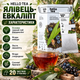 Чай черный Hello Tea Можжевельник Эвкалипт 20 пакетиков Дарджилинг с ягодами смородины сосновыми почками листьями эвкалипта можжевельником - изображение 3